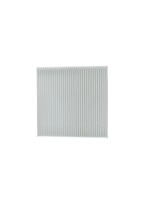 Filtro Polen JMC Vigus 2.4 2.5 