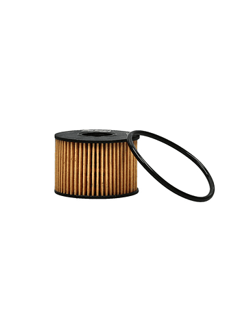 Filtro Aceite Ford Territory 1.5 