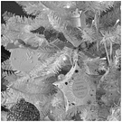 Cofret Estrela 6 Gessos Perfumados Mathilde M . Thé de Fête