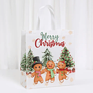 Saco Tecido Não Tecido . Bolachas Gengibre