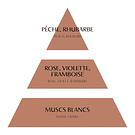 Difusor Mathilde M. Solifleur Flora 200 ml . Rose Élixir