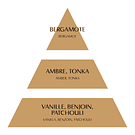 Trevo . Gesso Perfumado Mathilde M . Modelo pequeno . Douceur d'Ambre