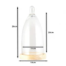 Campânula de Vidro Clayre & Eef 6GL3007