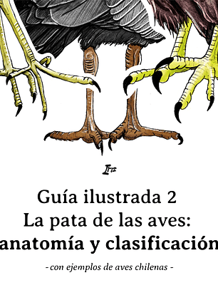 Guía ilustrada 2: La pata de las aves (GRATIS PDF)