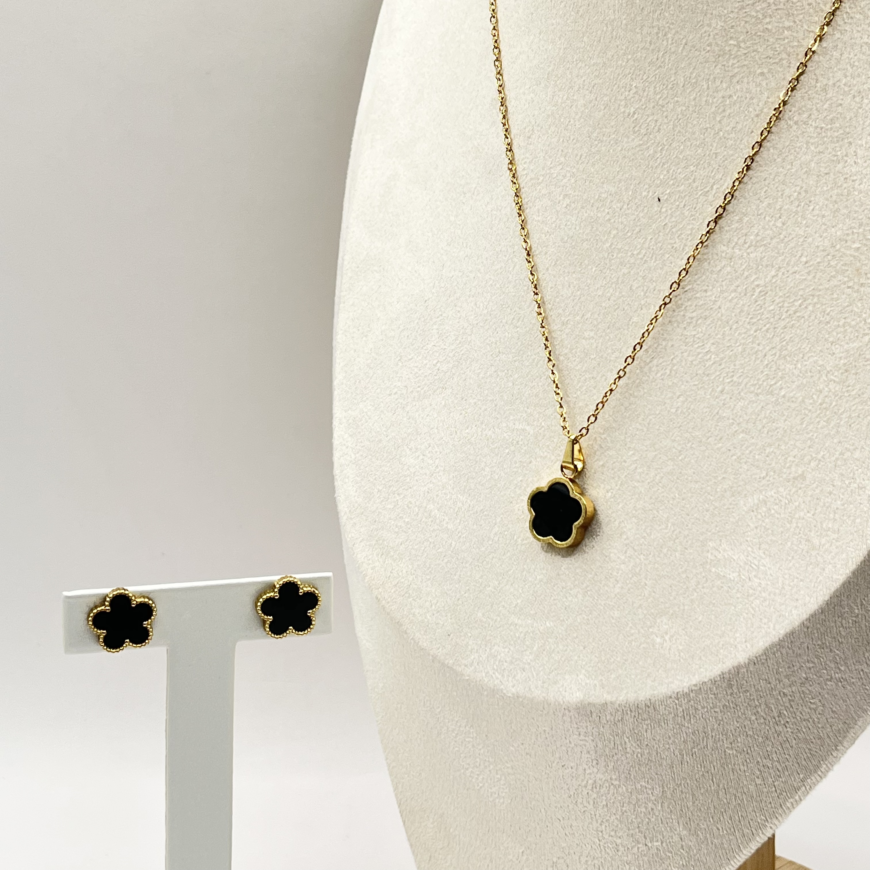 Pack Premium Gardenia 3