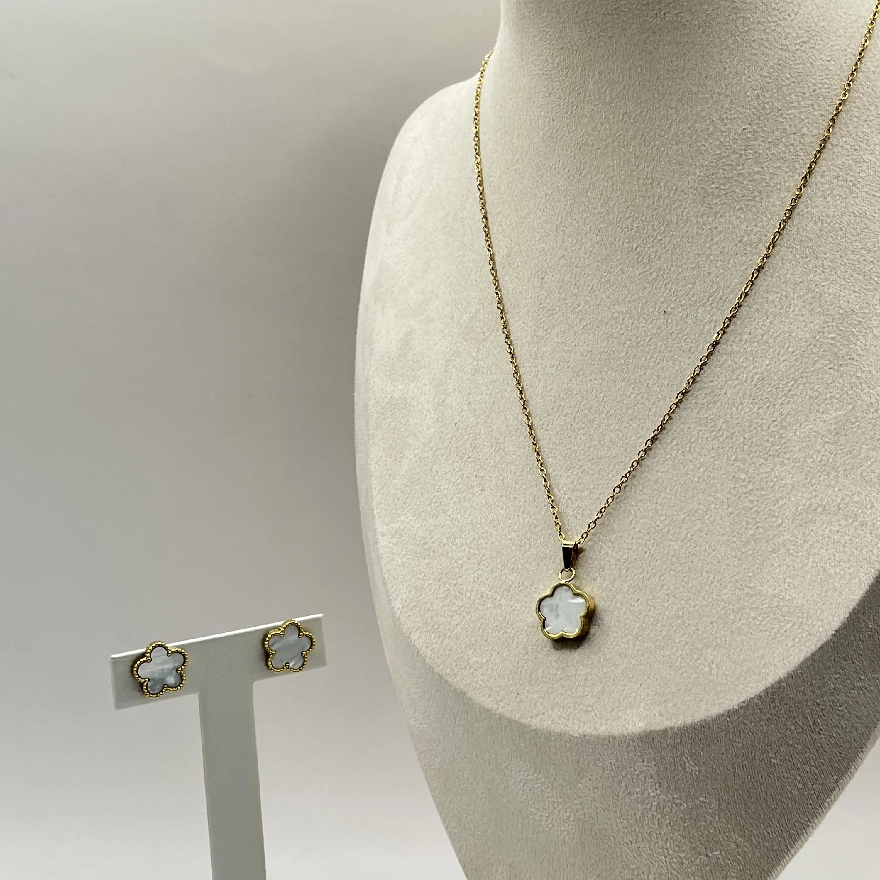 Pack Premium Orquídea 4