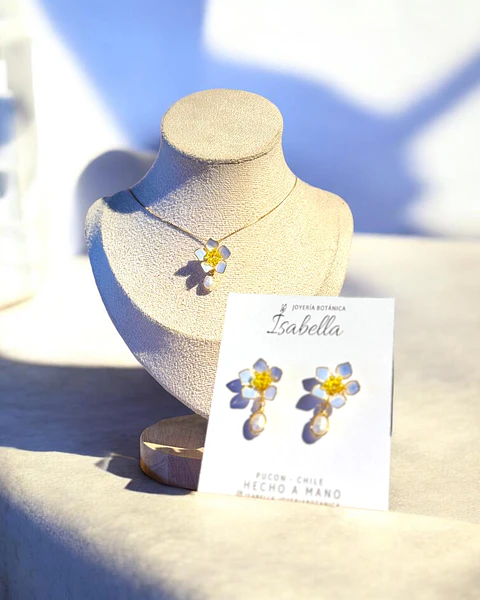 Conjunto No me olvides