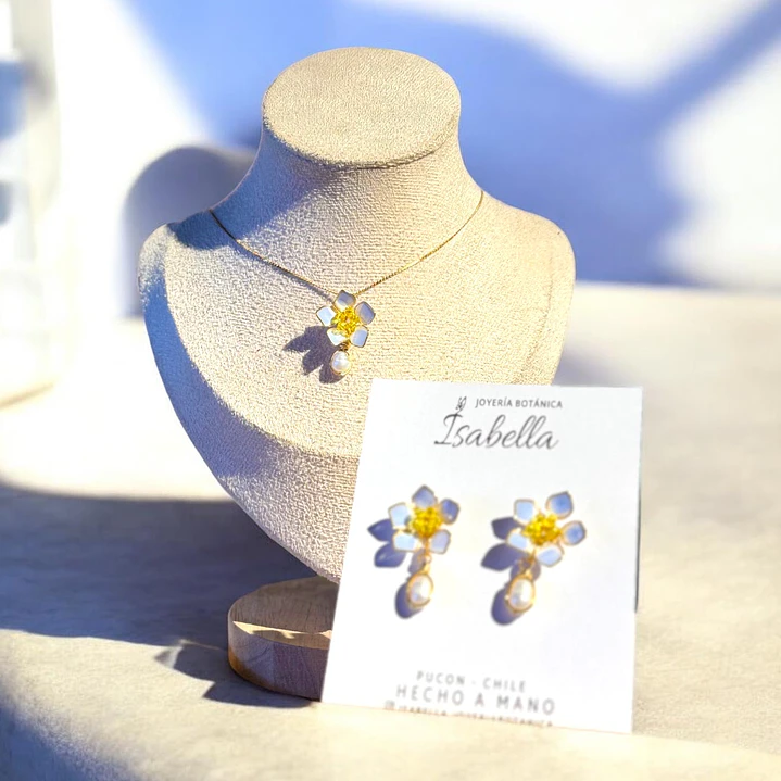 Conjunto No me olvides 1