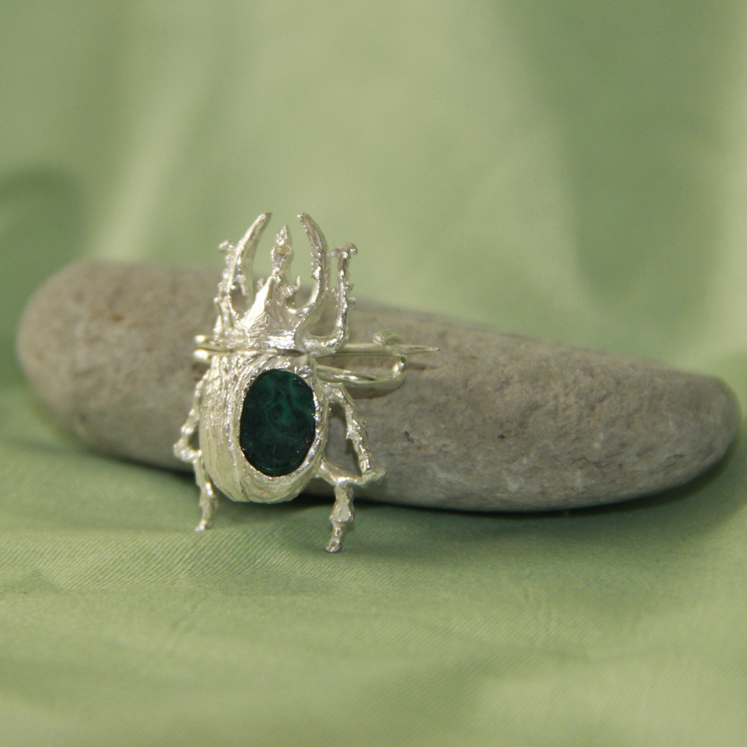 Escarabajo Rinocerante Plata Broche 1