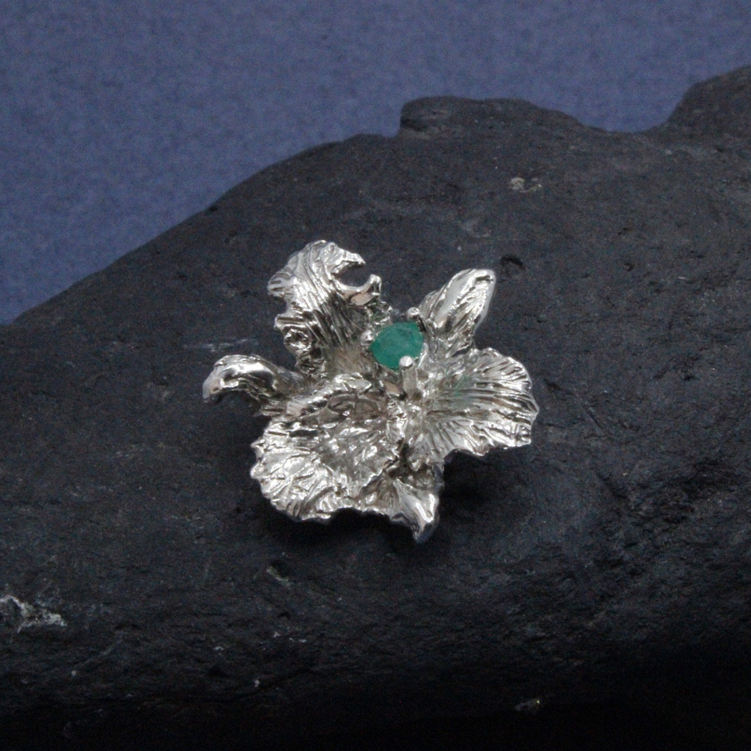 Orquídea Plata Esmeralda 1