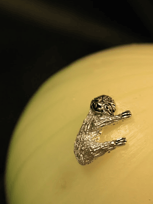 Collar Peresozo Plata