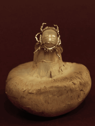 Anillo Escarabajo Grande Plata