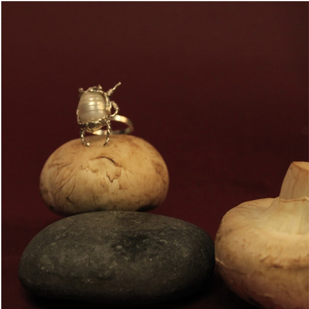 Anillo Escarabajo Grande Plata 1