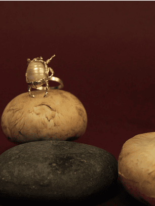 Anillo Escarabajo Grande Plata