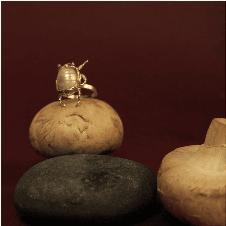 Anillo Escarabajo Grande Plata 1