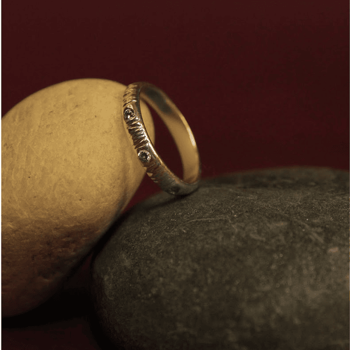 Anillo Hifa Viva Plata Circones 2