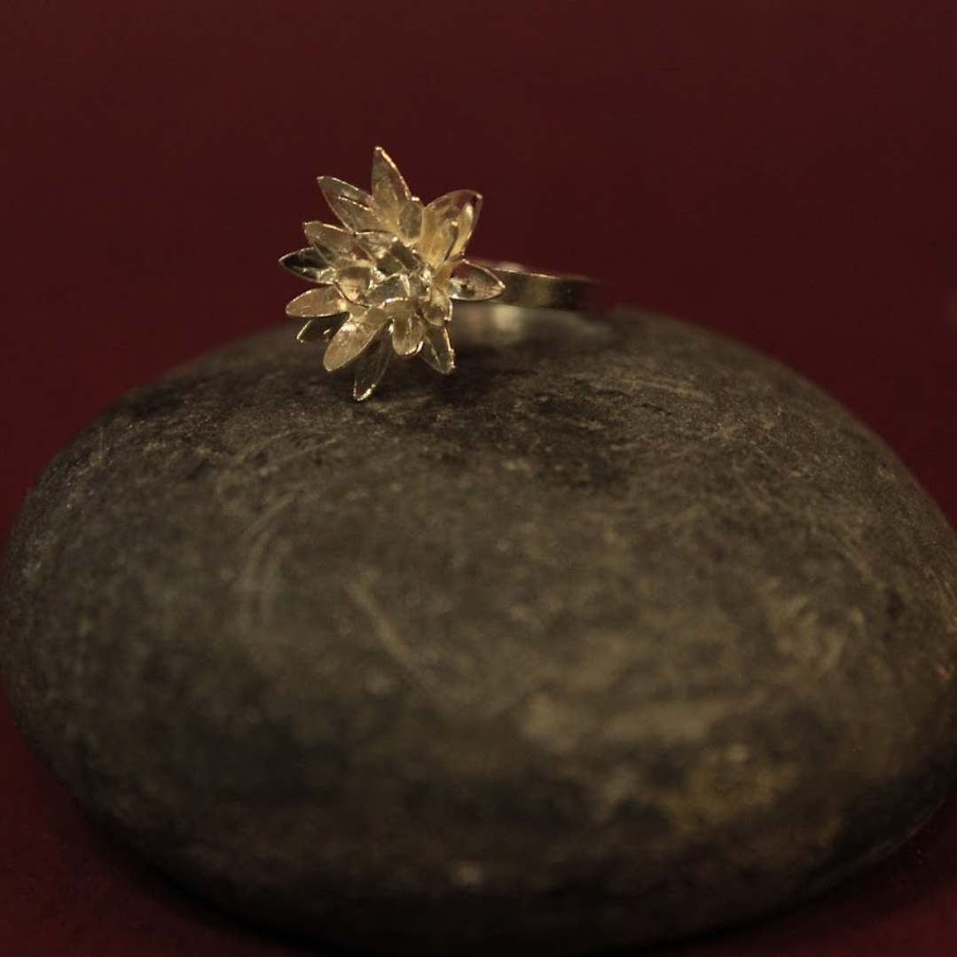 Anillo Frailejon Mini Plata 1