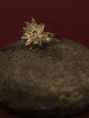 Anillo Frailejon Mini Plata