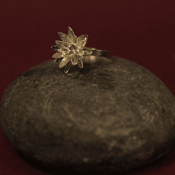 Anillo Frailejon Mini Plata 1
