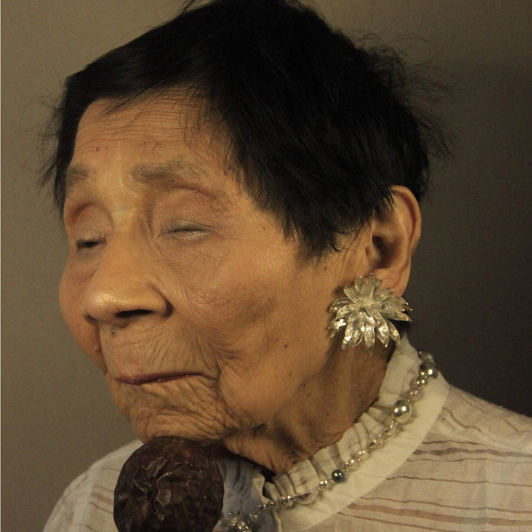 Aretes de frailejones grandes plata  2