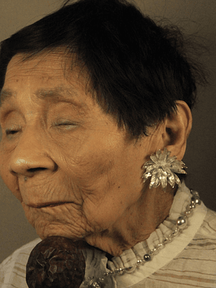 Aretes de frailejones grandes plata 