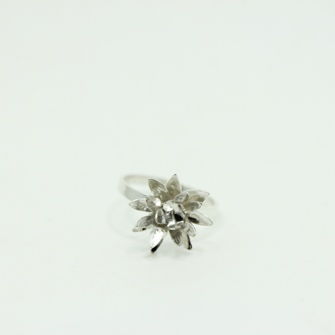Anillo Frailejon Mini Plata 4