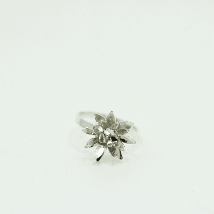 Anillo Frailejon Mini Plata 4
