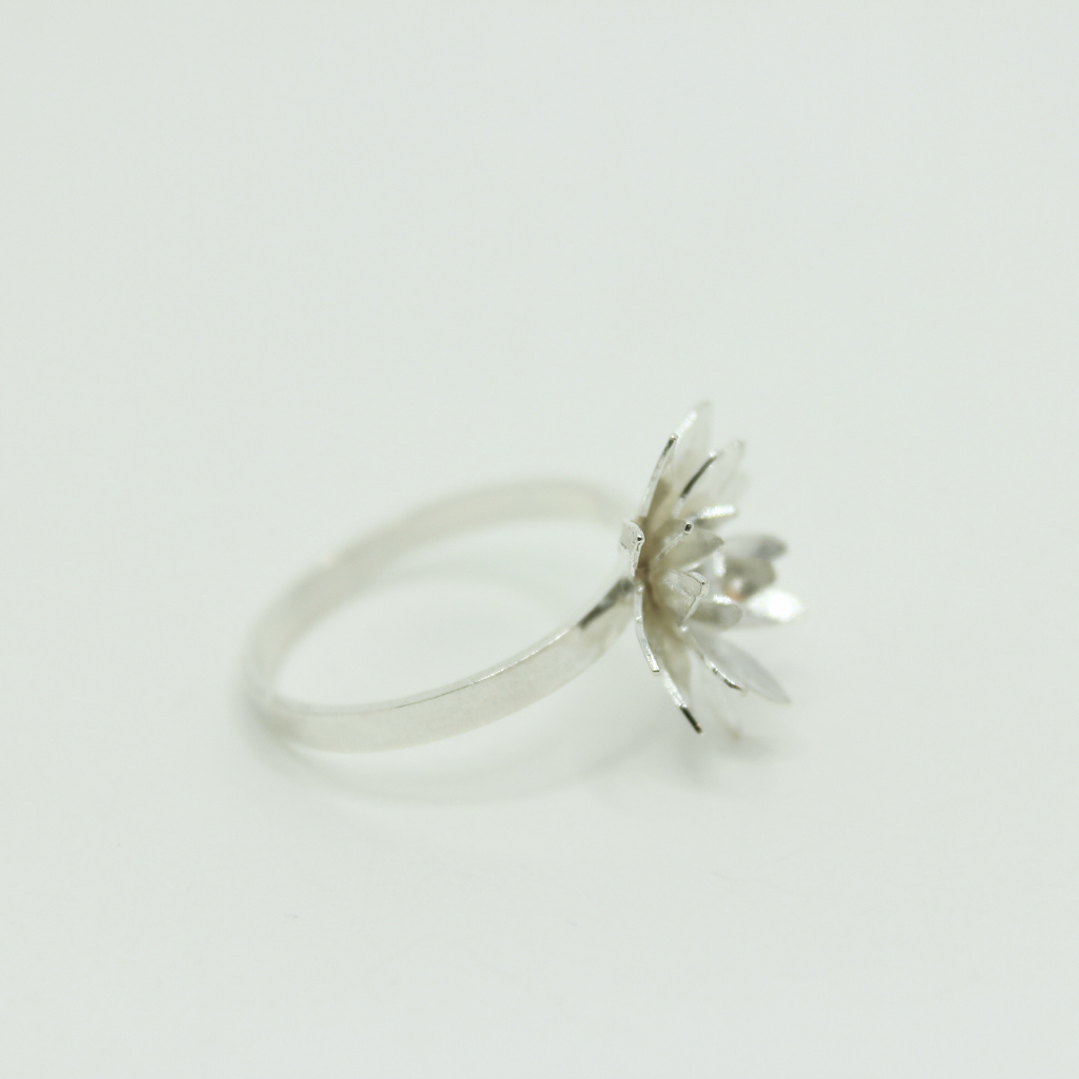 Anillo Frailejon Mini Plata 5