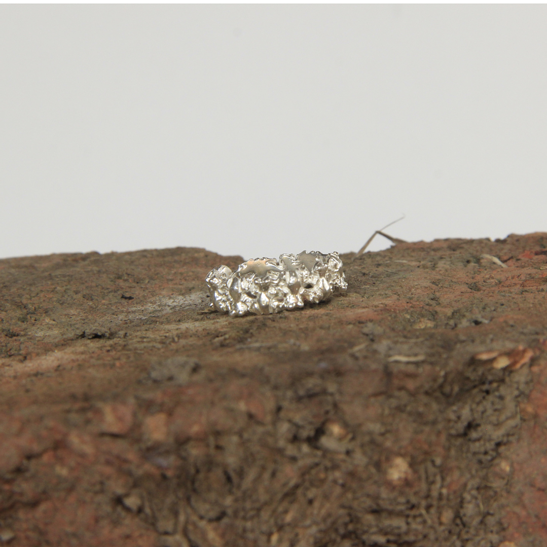 Anillo Infinito Ranas Plata 6