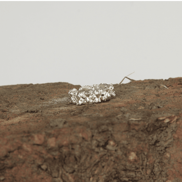 Anillo Infinito Ranas Plata 6