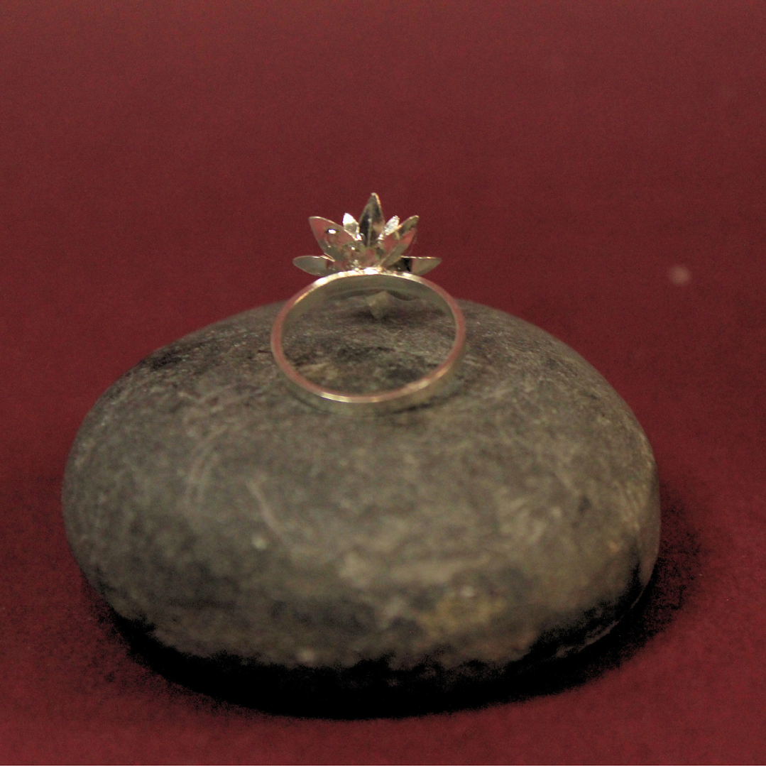 Anillo Frailejon Mini Plata 2