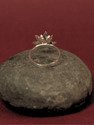 Anillo Frailejon Mini Plata