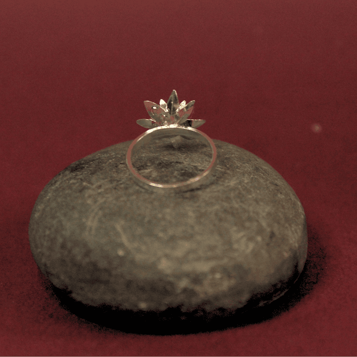 Anillo Frailejon Mini Plata 2