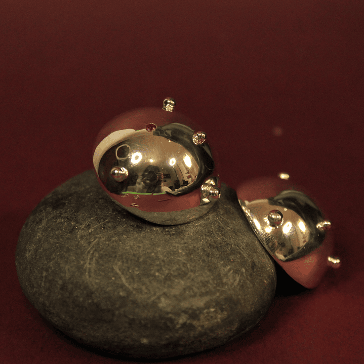 Aretes Domos Grandes Medusa Plata 2