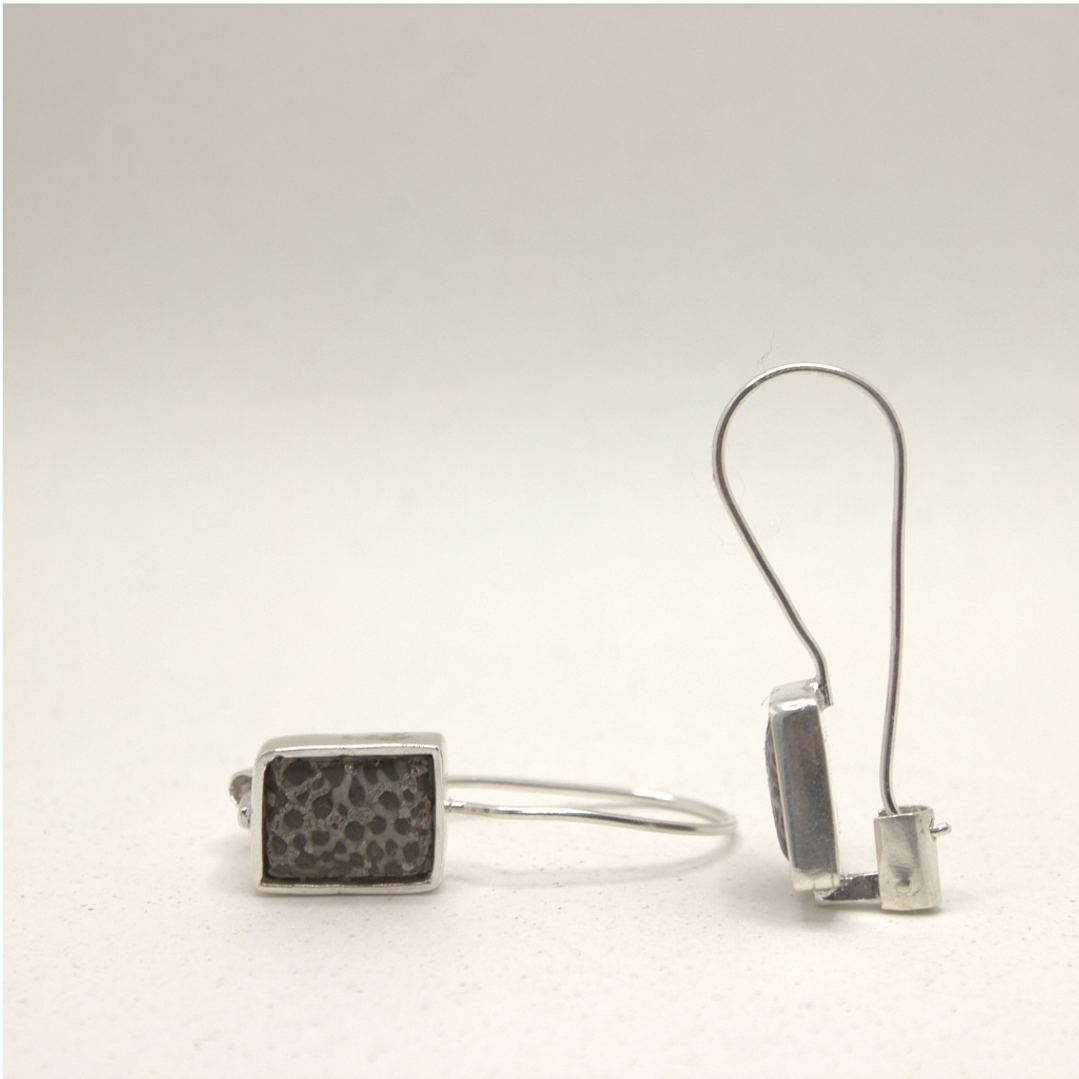 Aretes sistema Americano Fósil 1