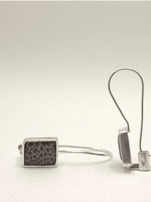 Aretes sistema Americano Fósil