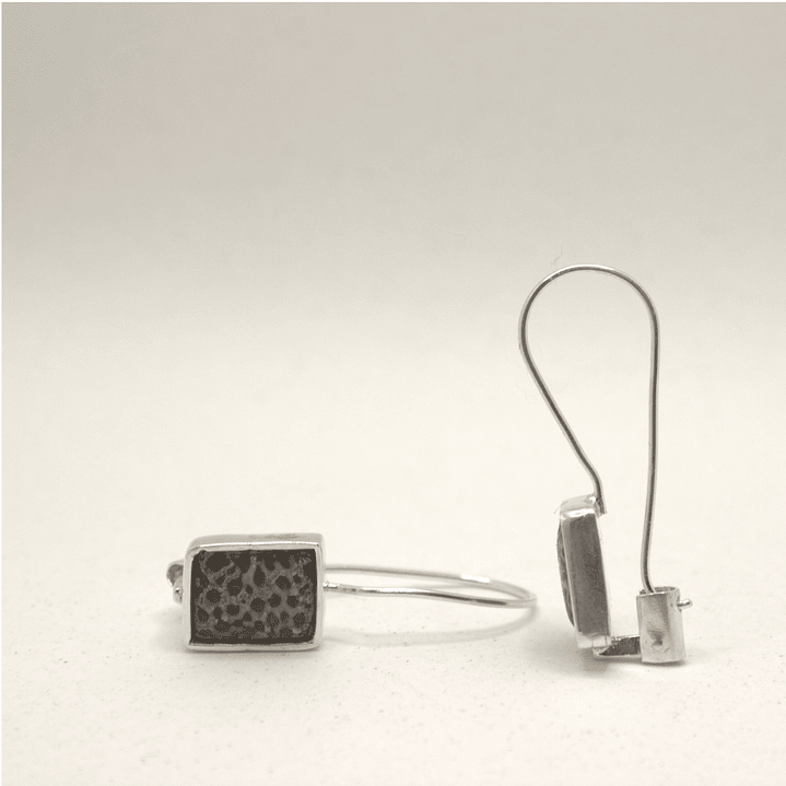 Aretes sistema Americano Fósil 1