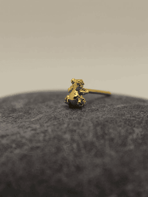 Mini Rana Dorada Bronce