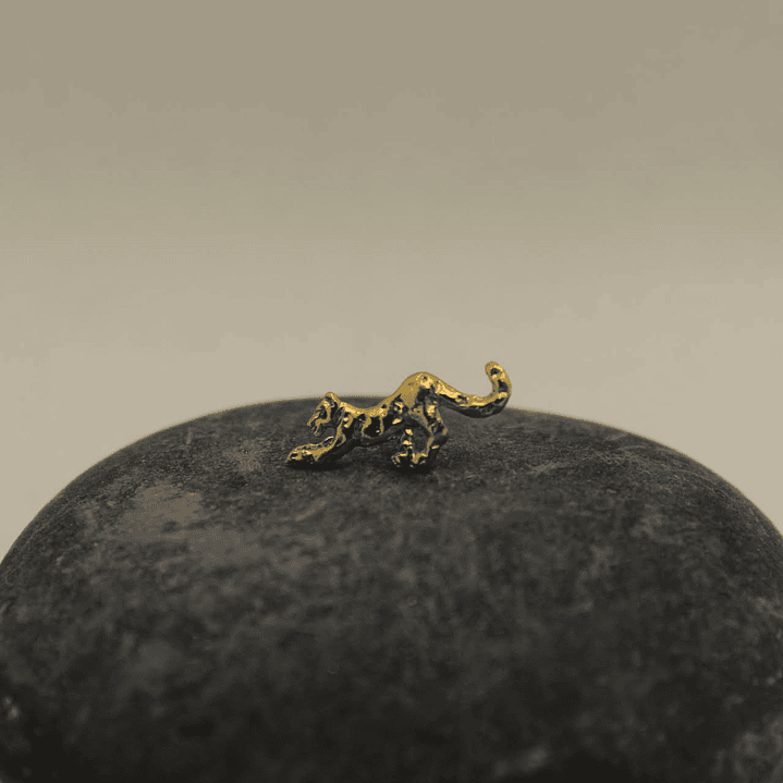 Mini Rana Dorada Bronce 2