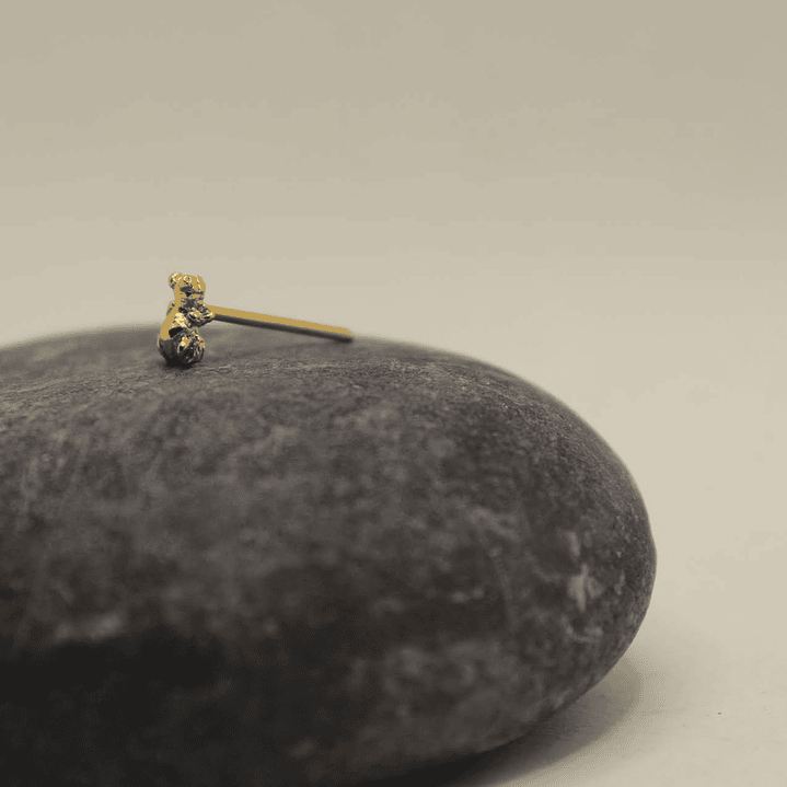 Mini Rana Dorada Bronce 4