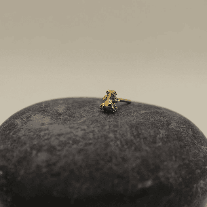 Mini Rana Dorada Bronce 5