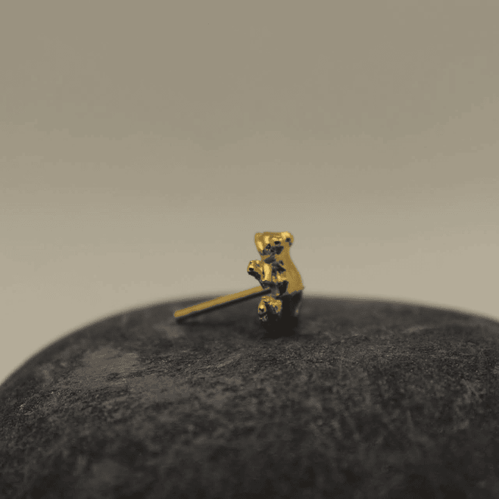 Rana mediana dorada bronche 1