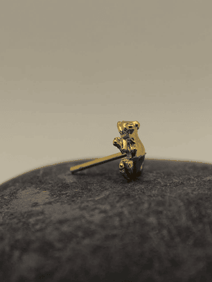 Rana mediana dorada bronche