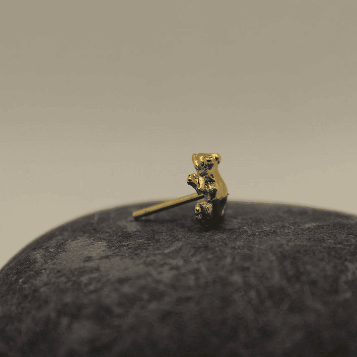 Rana mediana dorada bronche 2