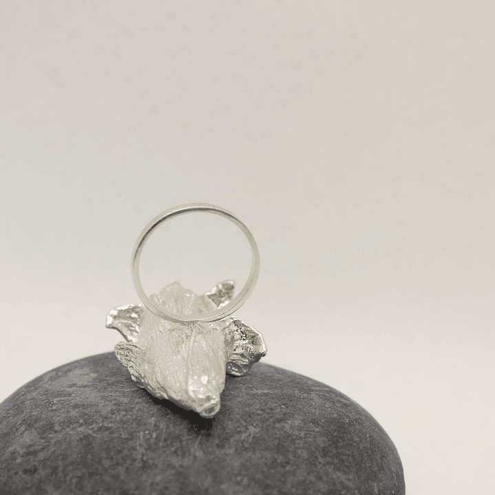 Anillo grande  Maíz Perla  2