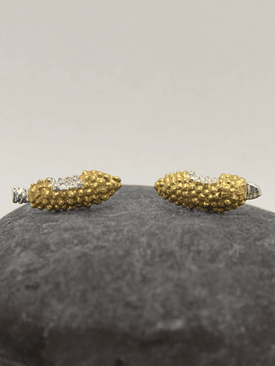 Aretes Maíz mordido