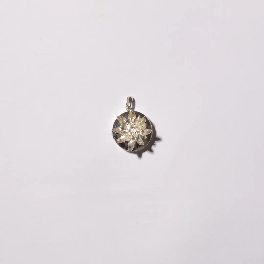 Relicario de Frailejón Plata  2