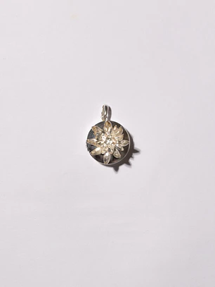 Relicario de Frailejón Plata 