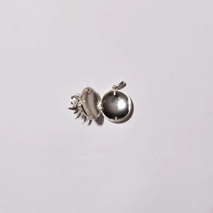 Relicario de Frailejón Plata  3