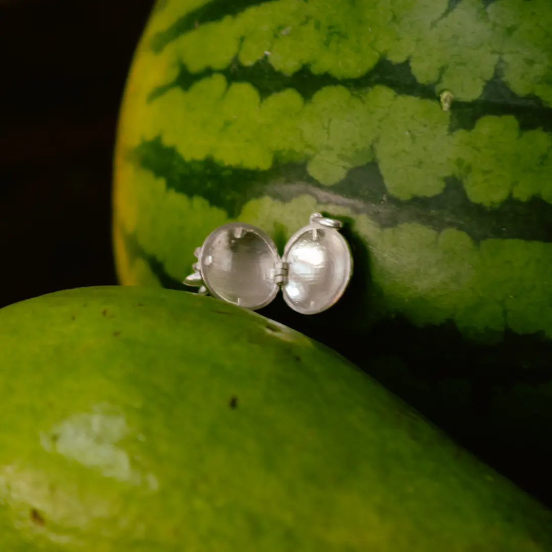 Relicario de Frailejón Plata  1